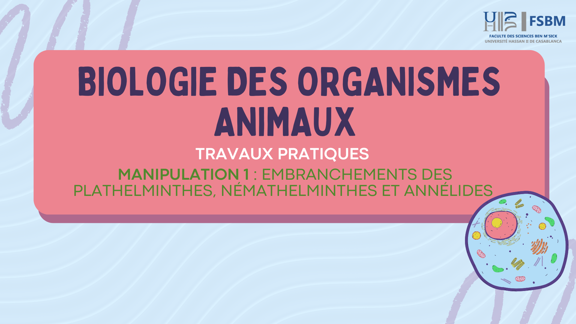 1 - Étude des Plathelminthes, Némathelminthes et Annélides CS102